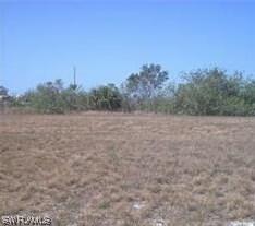 2000 SW 23rd Ct., Cape Coral, FL 33991