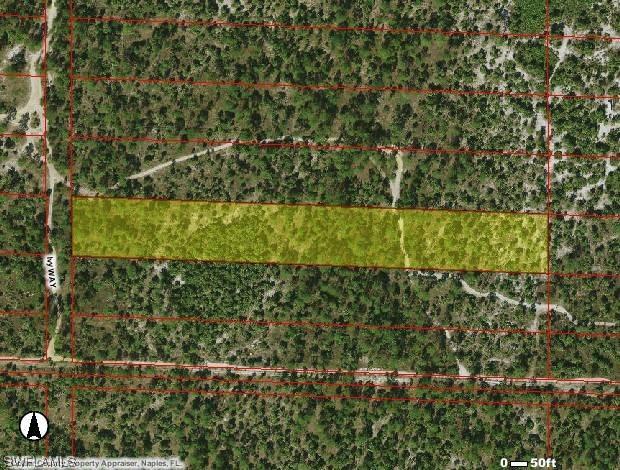 1740 Ivy Way, Naples, FL 34117