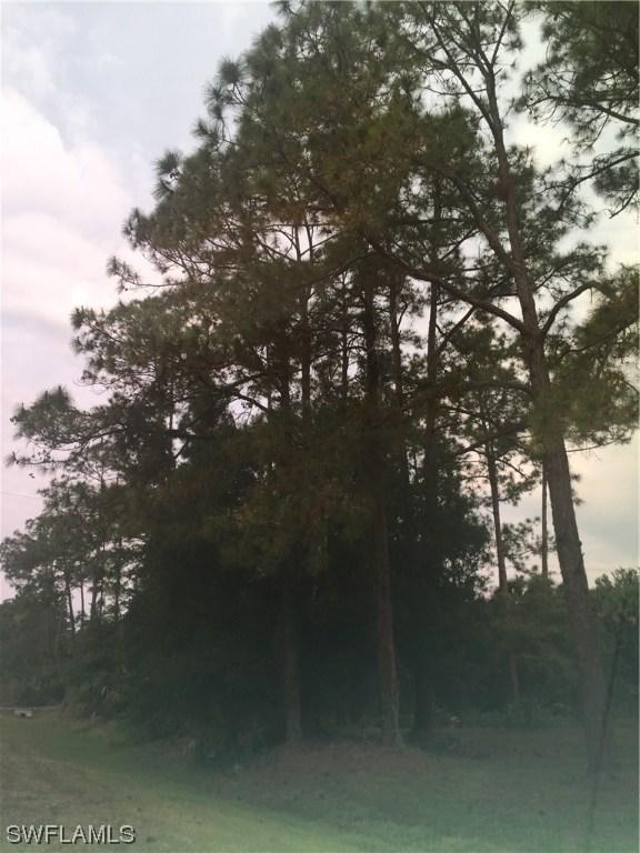 Everglades Blvd., Naples, FL 34120