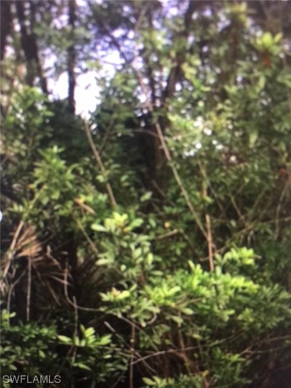 36th Ave., Naples, FL 34117