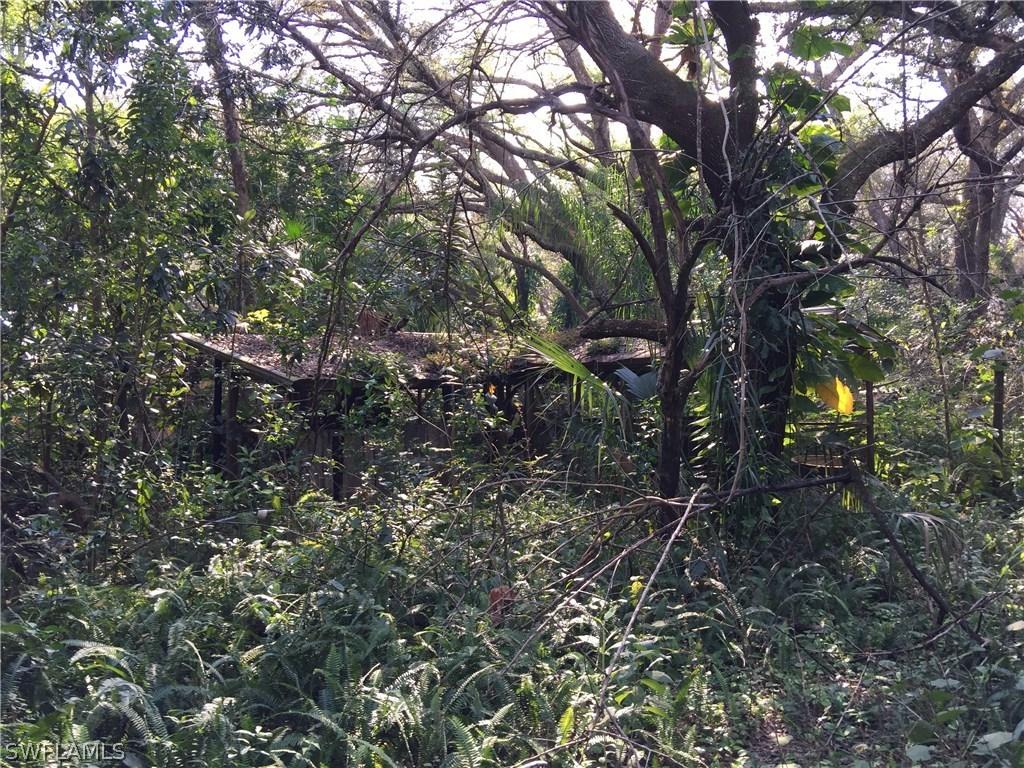 21600 N River Rd., Alva, FL 33920