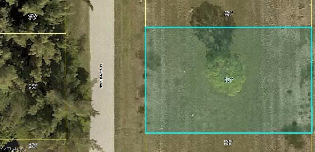 1713 NW Juanita Pl., Cape Coral, FL 33993