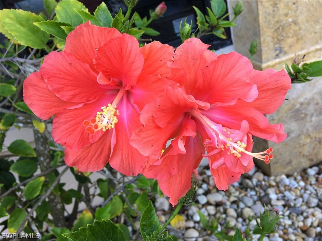 332 SW 29th Ave., Cape Coral, FL 33991