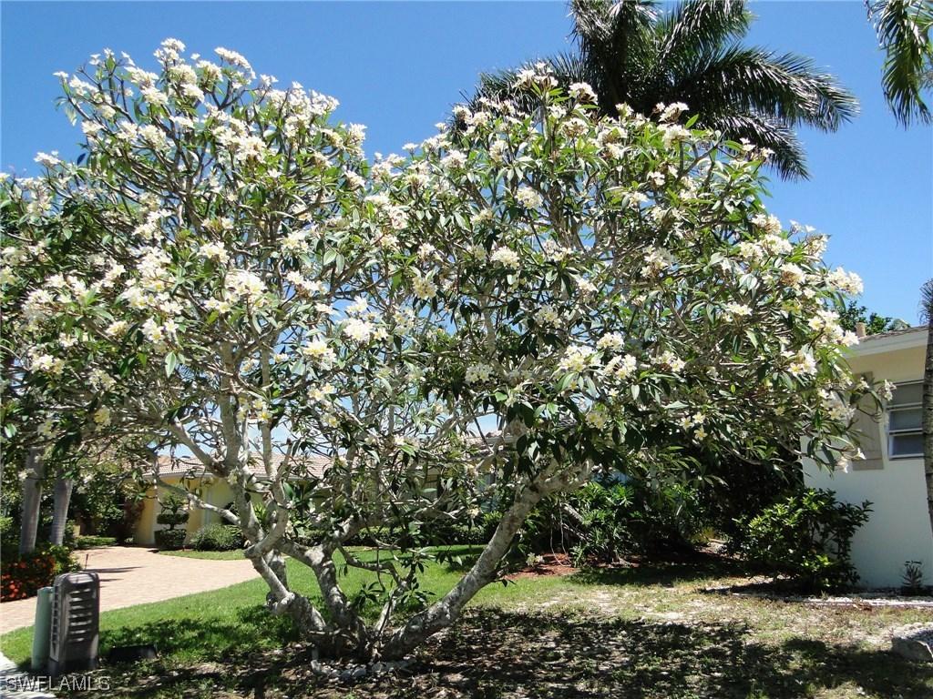 761 Rose Ct., Marco Island, FL 34145