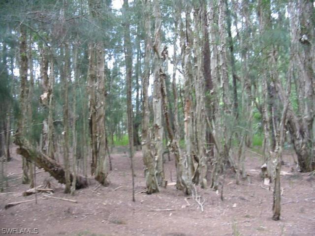 11811 Pompano Ave., Cape Coral, FL 33991