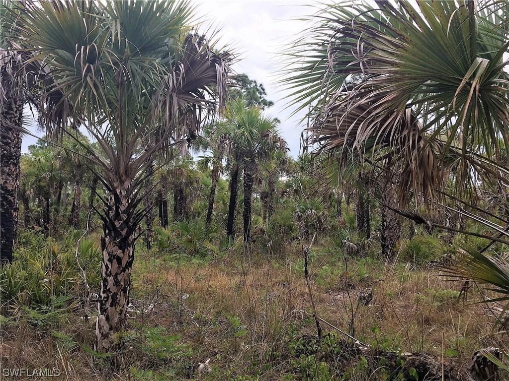 2400-2698 Woodland Estates Rd., Naples, FL 34117