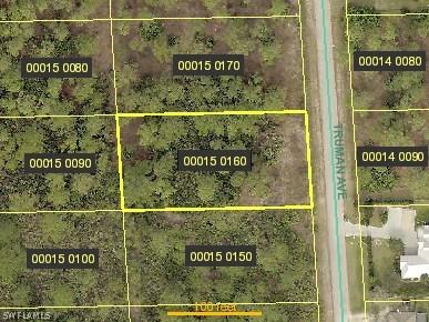 2107 Truman Ave., Alva, FL 33920