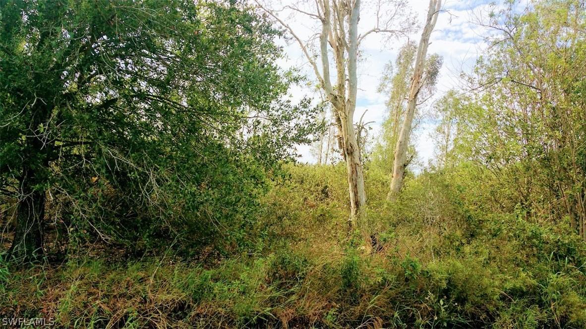 7795 Coffey Rd., Moore Haven, FL 33935