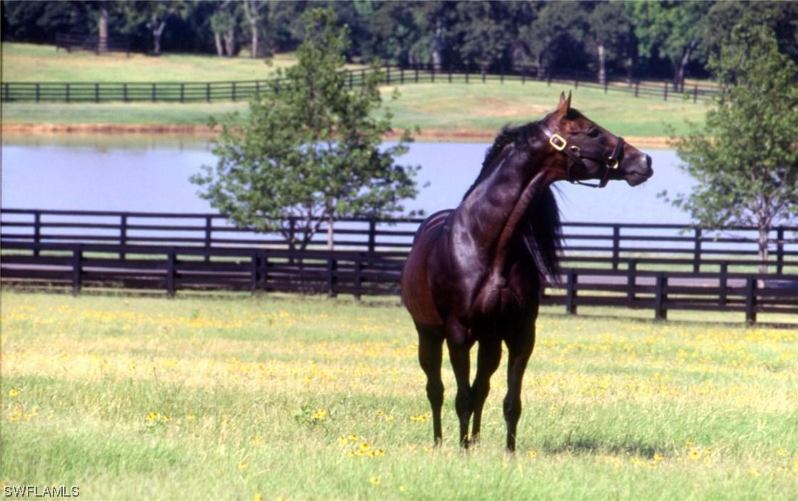 2825 29th Ave., Naples, FL 34120