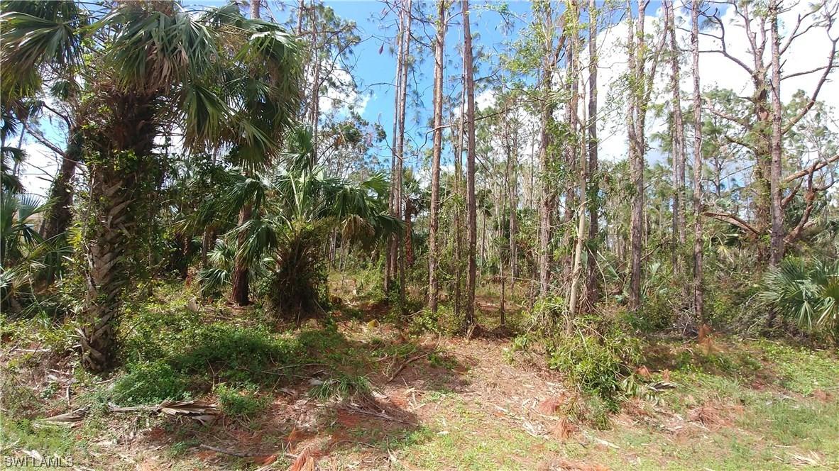 791 12th St., Naples, FL 34117