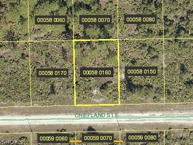 1119 Chiefland St., Lehigh Acres, FL 33974