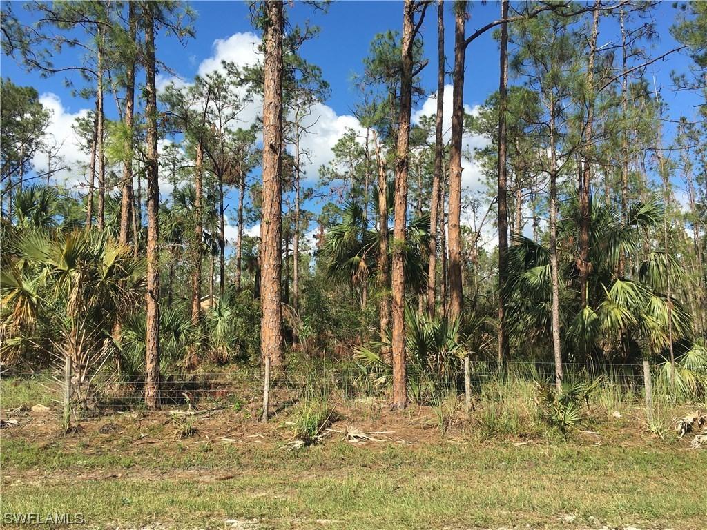 Everglades Blvd., Naples, FL 34120