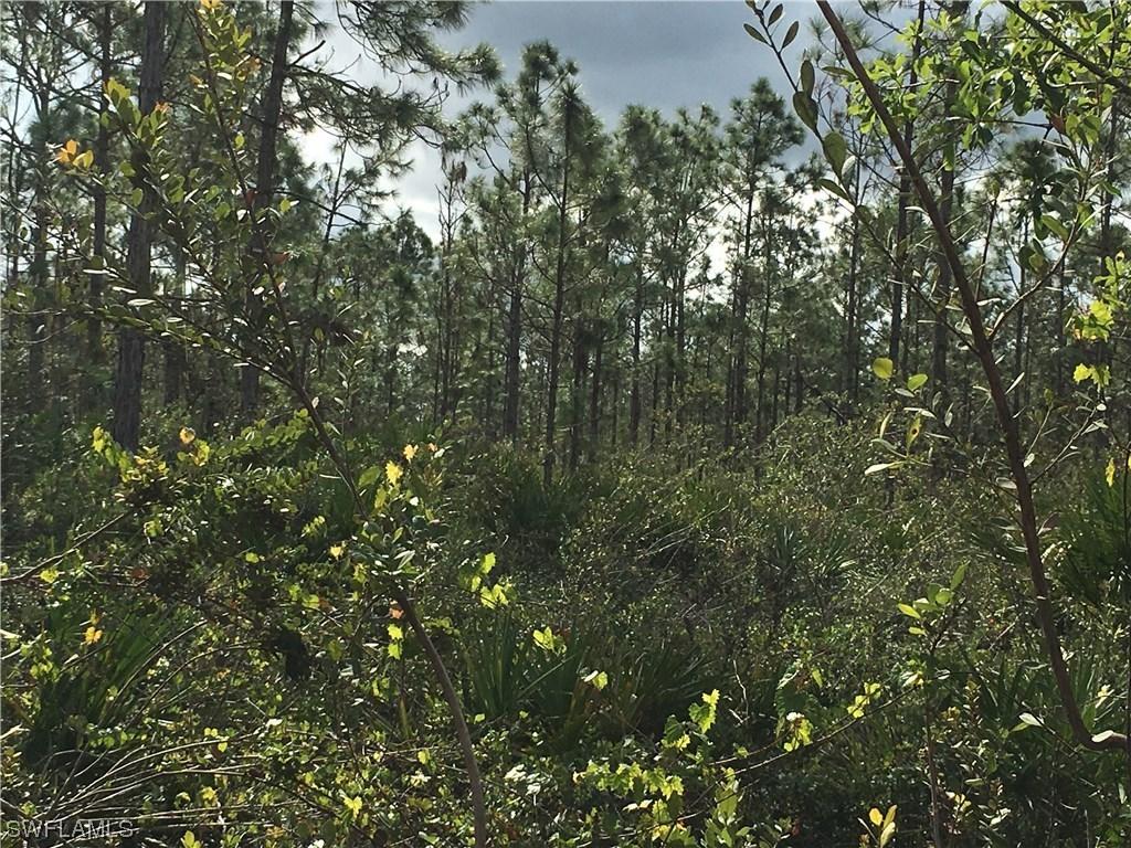 43rd Ave., Naples, FL 34120