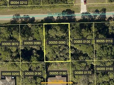 3721 Tallman St., Fort Myers, FL 33905