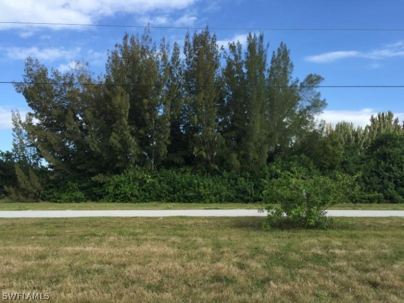 2917 NW 9th Ter., Cape Coral, FL 33993