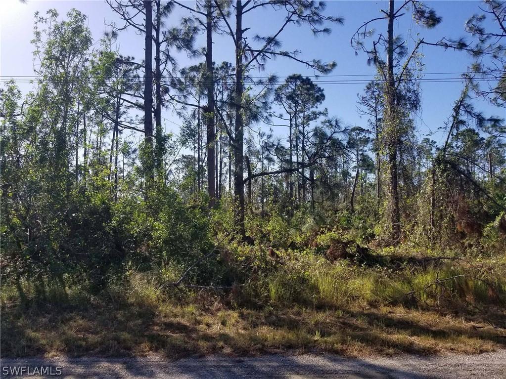 1130 Edelweiss St., Lehigh Acres, FL 33974