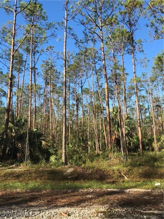 Desoto Blvd., Naples, FL 34120