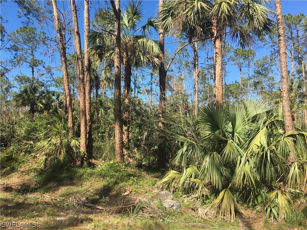 3341 6th Ave., Naples, FL 34117