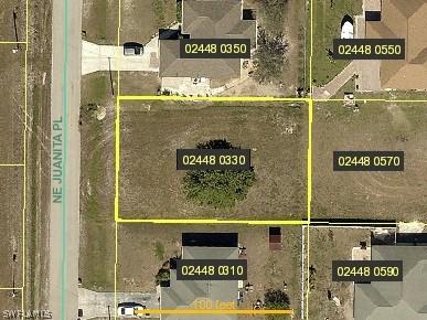 1423 NE Juanita Pl., Cape Coral, FL 33909