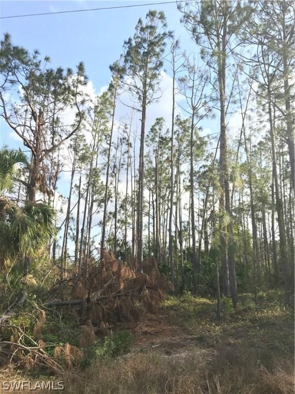 1248 Claremont St., Lehigh Acres, FL 33974