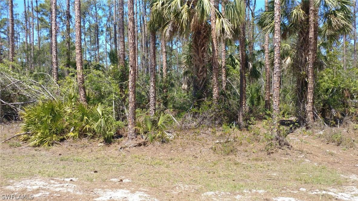 3785 16th Ave., Naples, FL 34117