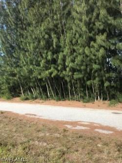 1258 NW 23rd Ave., Cape Coral, FL 33993