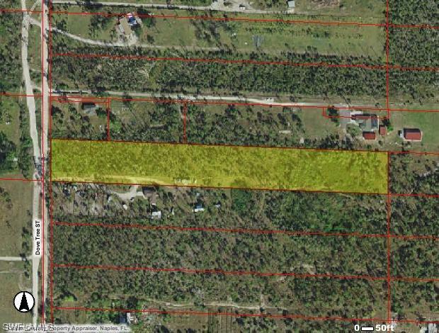X Dove Tree St., Naples, FL 34117