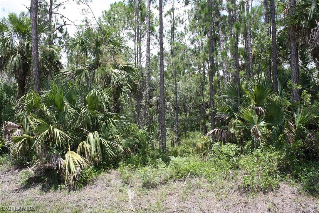 4361 14th Ave., Naples, FL 34117