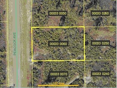 715 Peacock Ave., Lehigh Acres, FL 33974