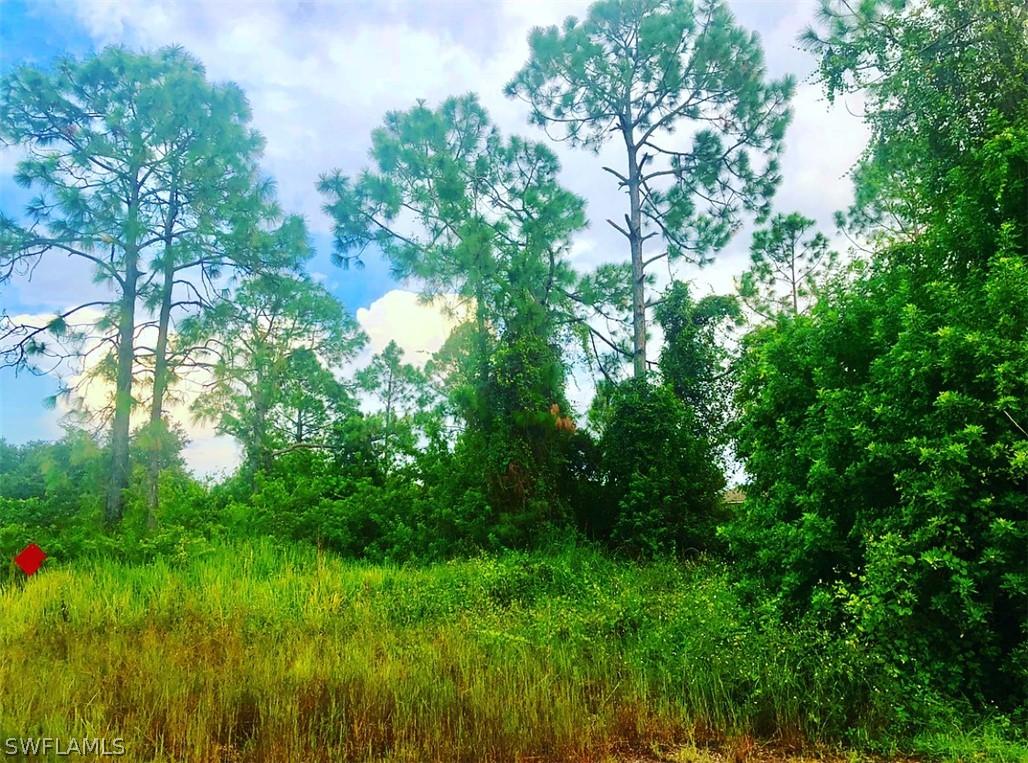 2915 4th St., Lehigh Acres, FL 33971