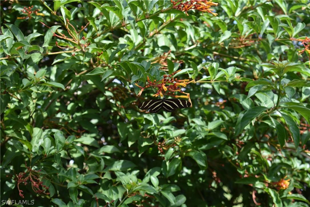 1027 SE 16th Pl., Cape Coral, FL 33990