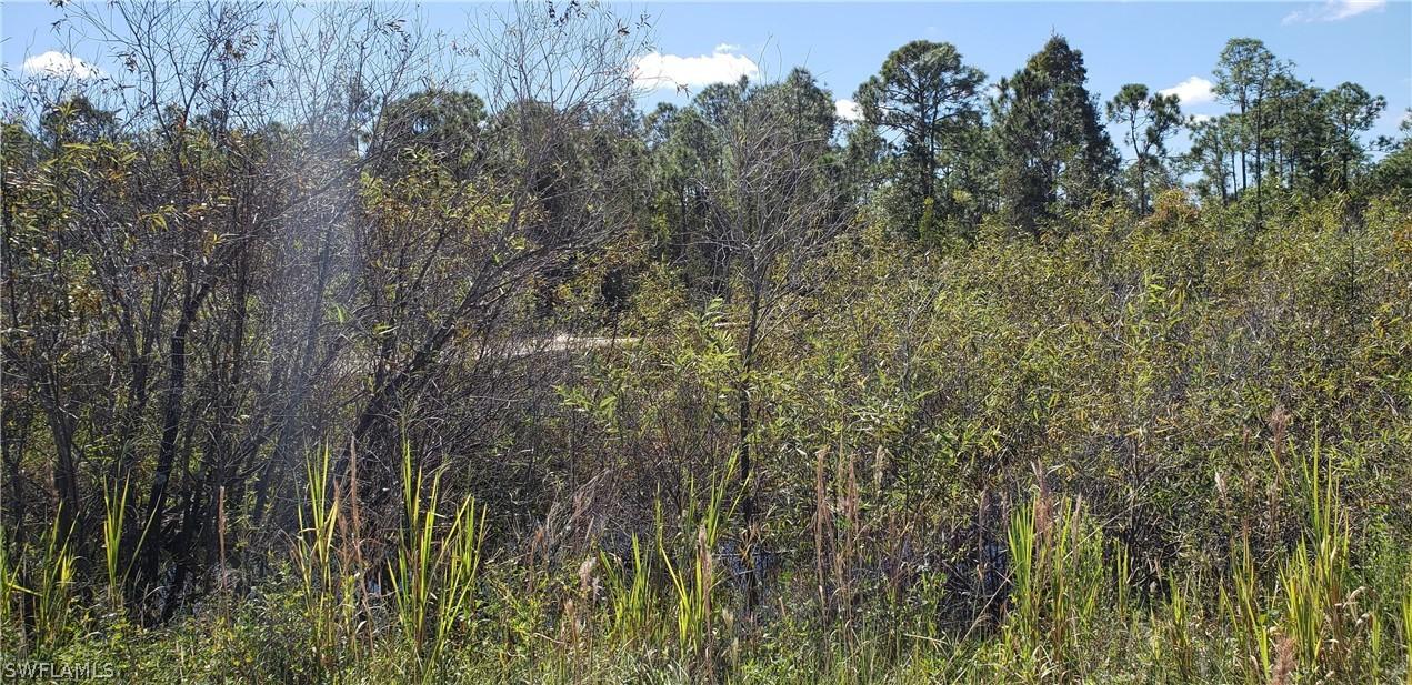 37381 Cook Brown Rd., Fort Myers, FL 33917