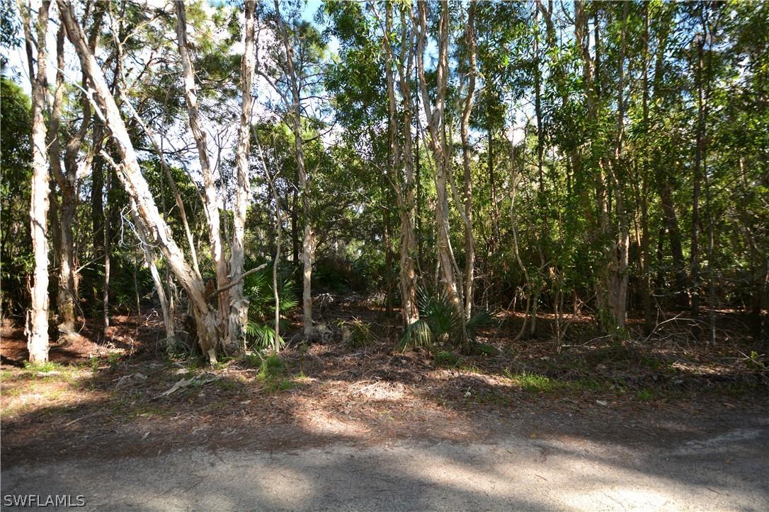 8756 Nome Ct., St. James City, FL 33956