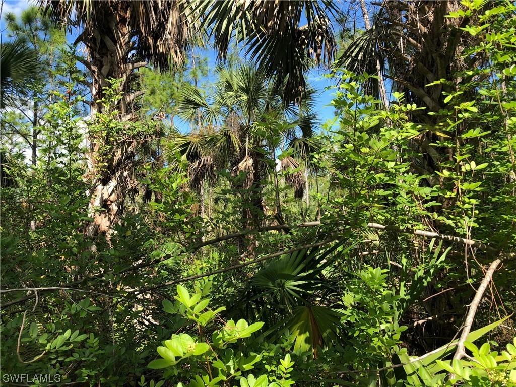 24th Ave., Naples, FL 34117