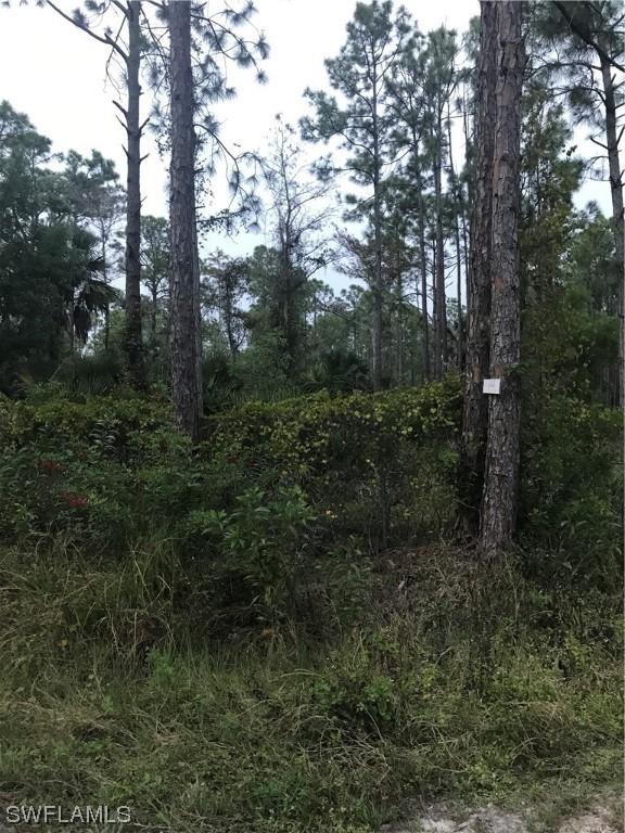 3885 29th Ave., Naples, FL 34120