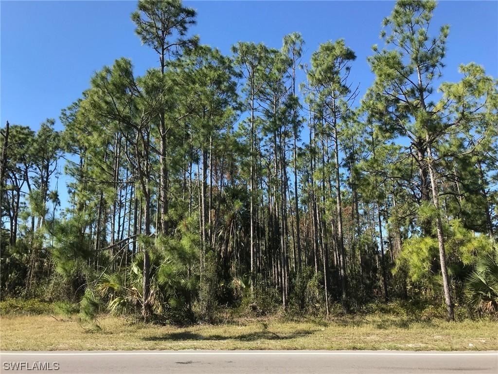 Wilson Blvd., Naples, FL 34120