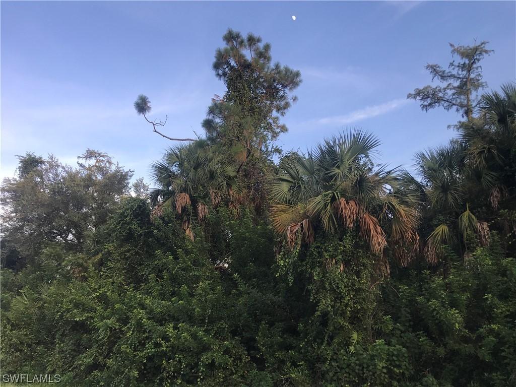 XX Jung Blvd., Naples, FL 34120