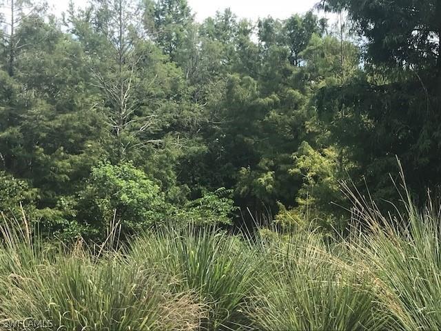 207 SW 28th Ter., Cape Coral, FL 33914