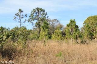 805 Hines Ave., Lehigh Acres, FL 33972