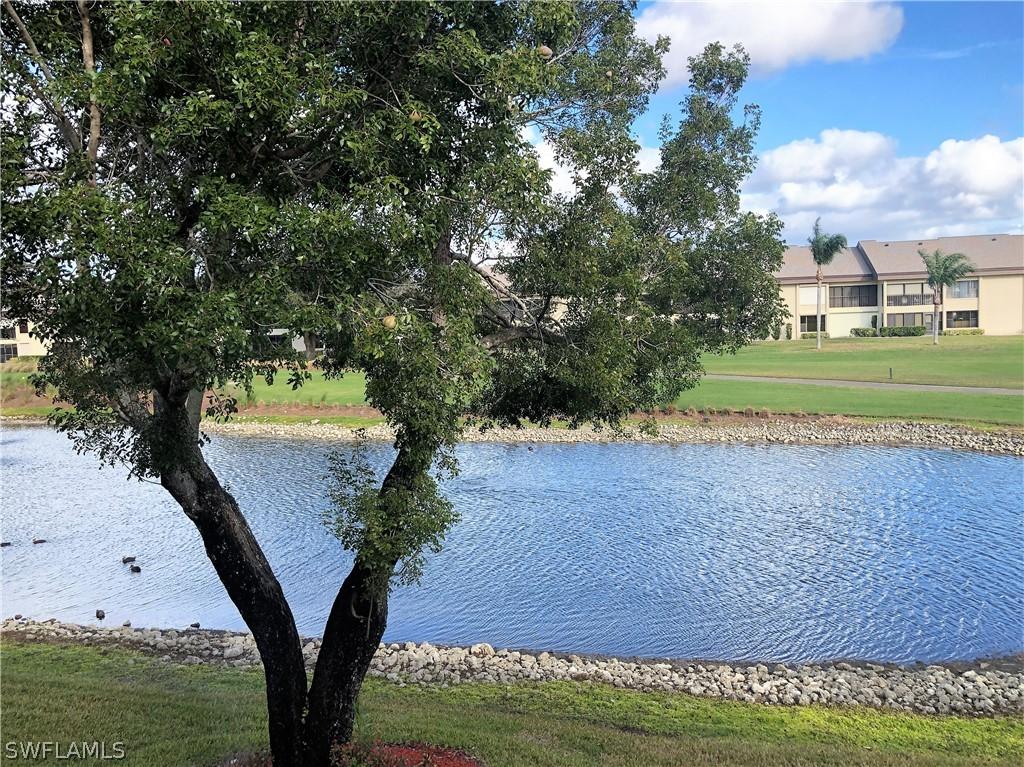 5650 Trailwinds Dr. #123, Fort Myers, FL 33907