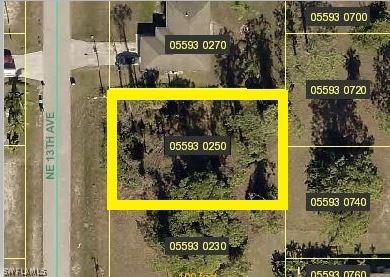 3527 NE 13th Ave., Cape Coral, FL 33909