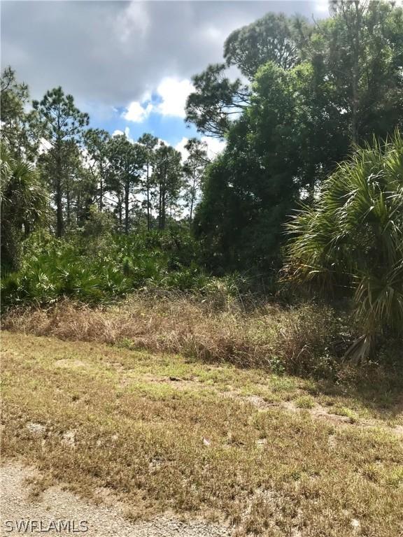 1016 Bach St., Lehigh Acres, FL 33974