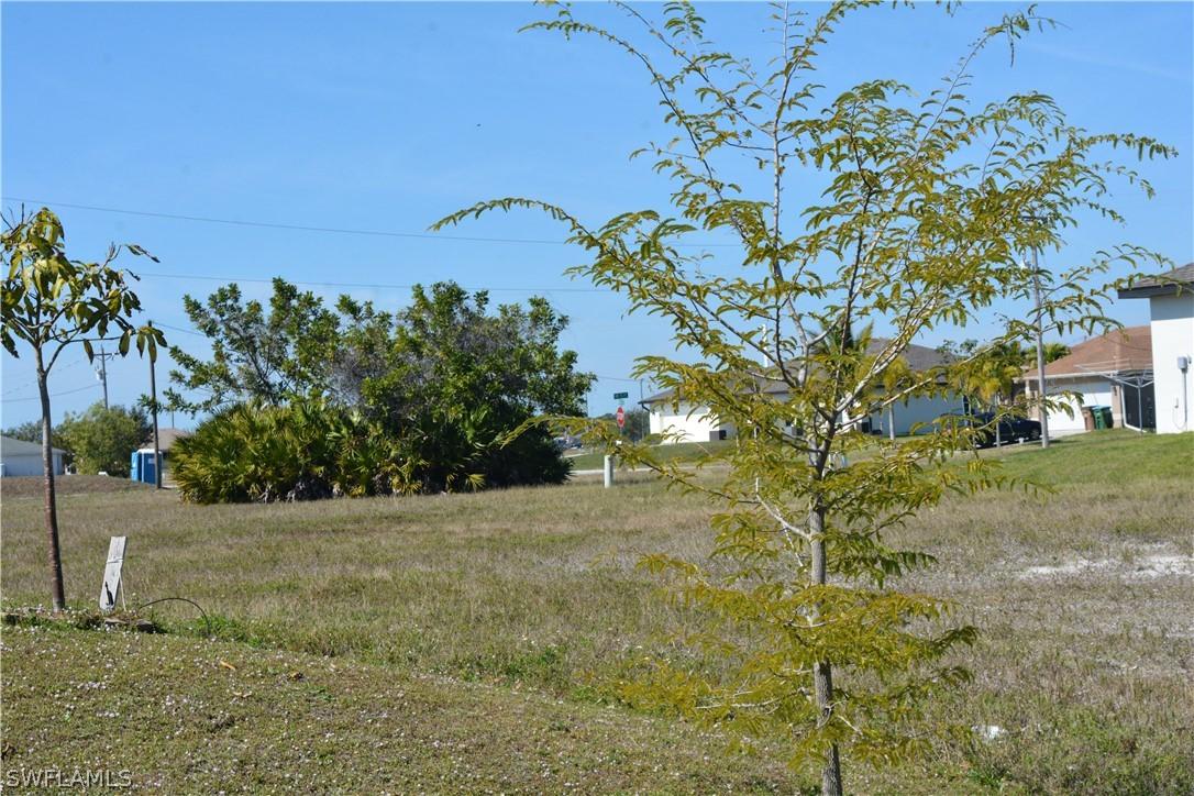 2019 NW 10th Ave., Cape Coral, FL 33993