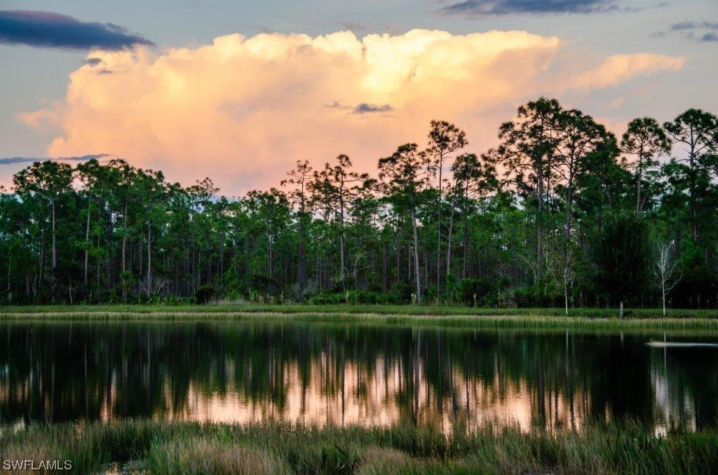 21187 Bella Terra Blvd., Estero, FL 33928