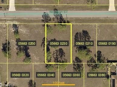 2212 NE 36th St., Cape Coral, FL 33909