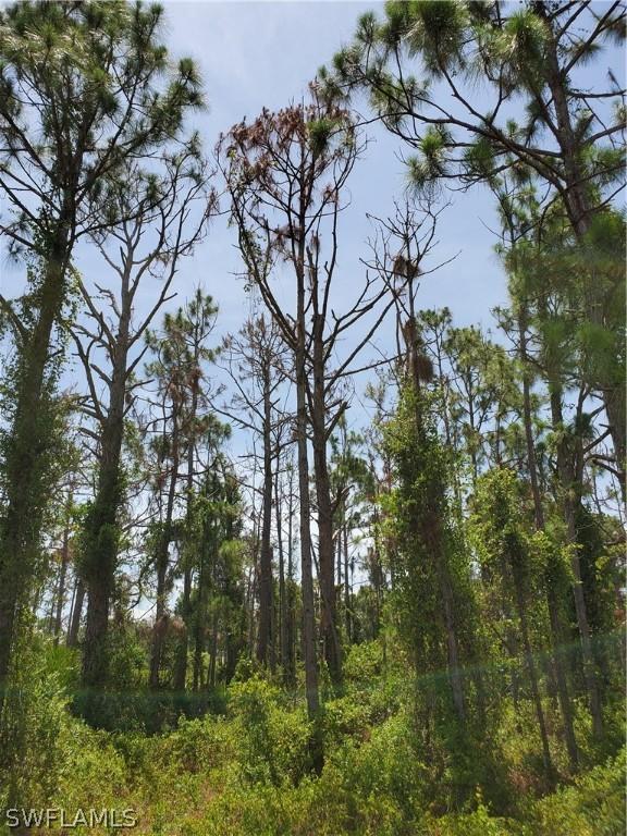 1052 Marshall Ave., Lehigh Acres, FL 33974