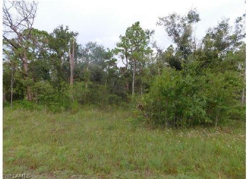 1118 Coral Bells St., Lehigh Acres, FL 33974