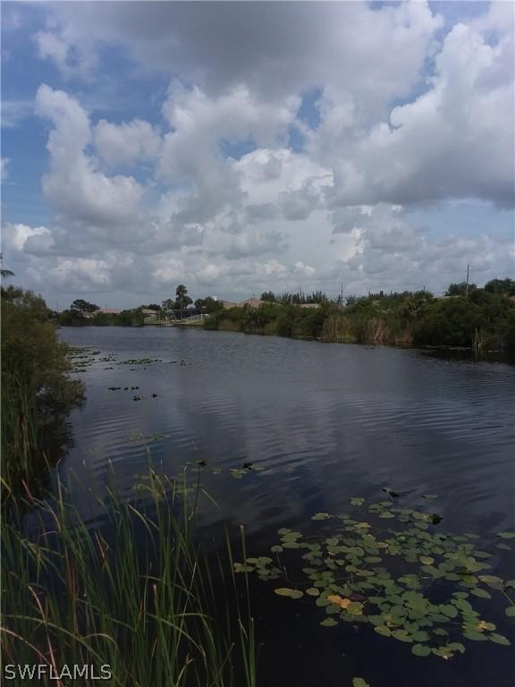 2412 NW 15th St., Cape Coral, FL 33993