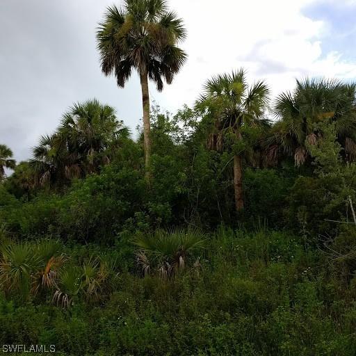 34th Ave., Naples, FL 34117
