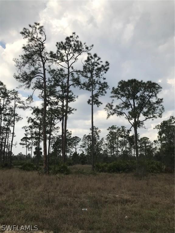 307 E 17th St., Lehigh Acres, FL 33972